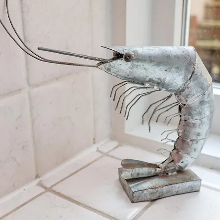 Adventure Semesterbostad